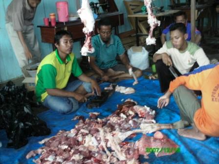 pembagian daging qurban