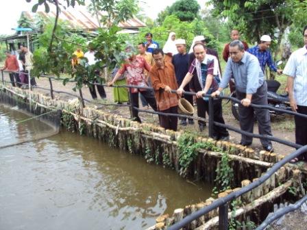 bpk direktur melihat usaha perikanan pp al-amin